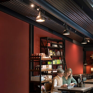 Zehnder ZFP, RHC, CP, Ceiling Panel, Zehnder, Reference